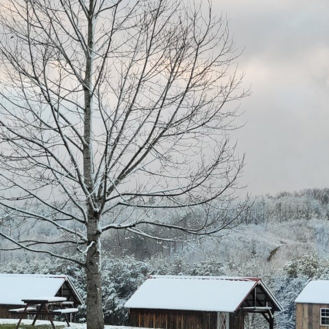 Winter Time at Smitty's